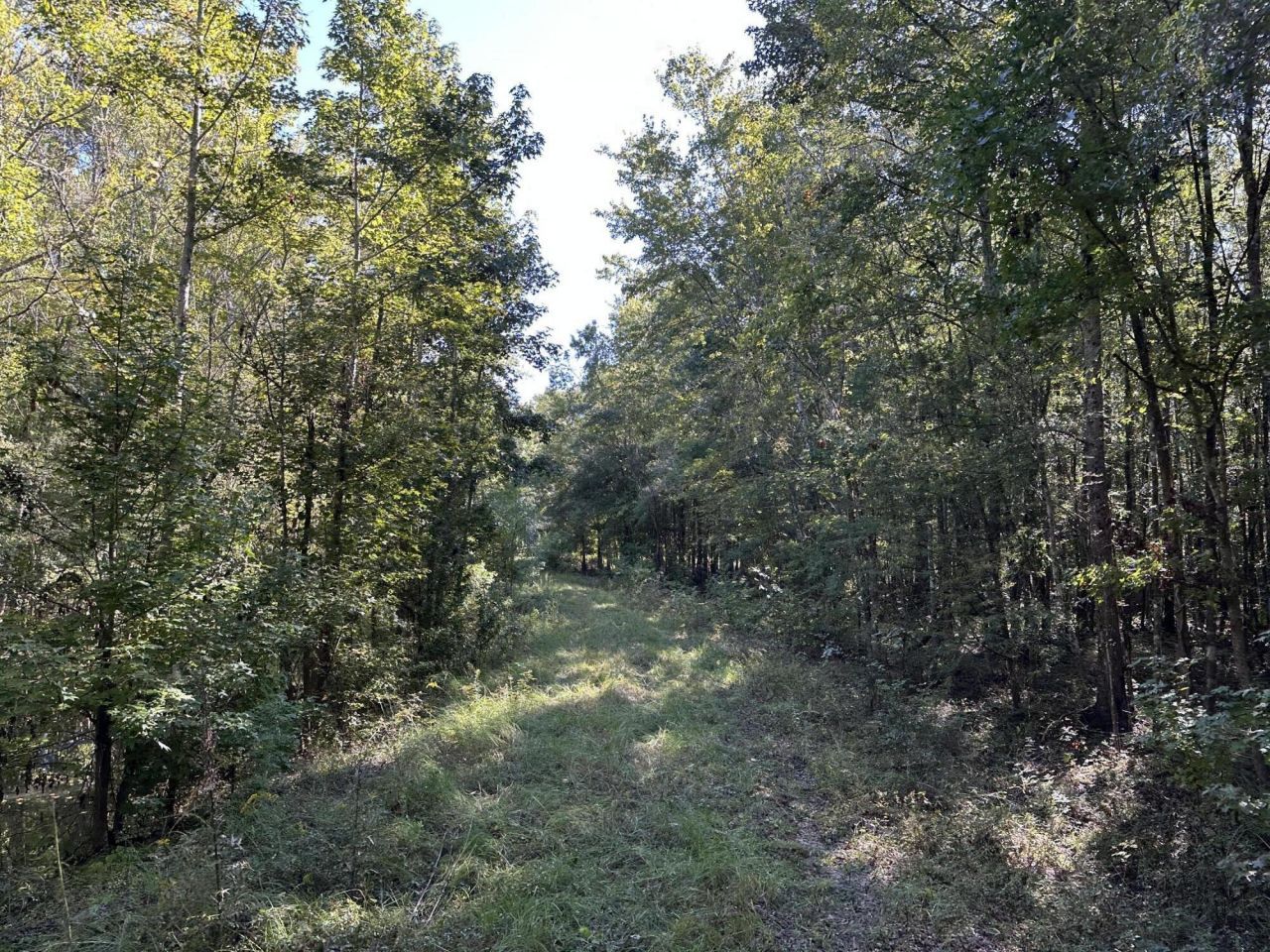 0 Big Bird Lane Photo 6