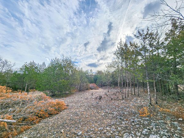 00 Tall Oaks, Pittsburg, MO 65724