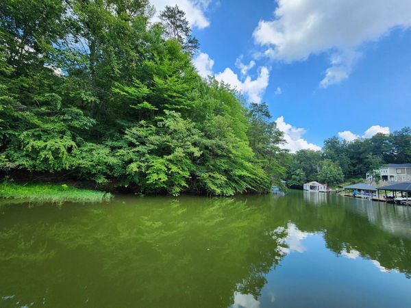 Lot 60 Lakewatch CIR , Moneta, VA 24121