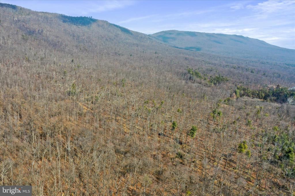 Tbd Rocky Top Lane, Woodstock, VA 22664 Main Photo