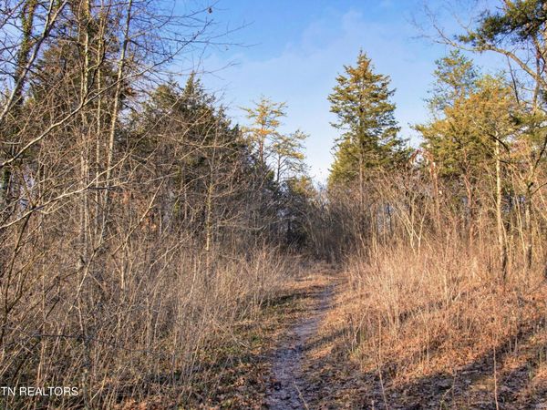 734 Hialeah Drive, Knoxville, TN 37920