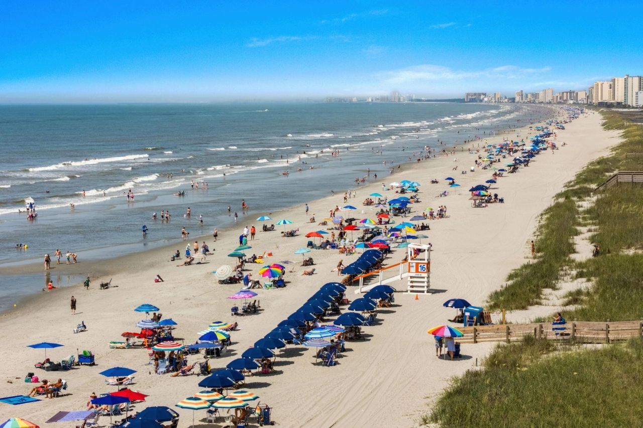 2317 Via Palma Dr.  Photo 51