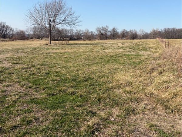 Curtis , Lincoln, AR 72744