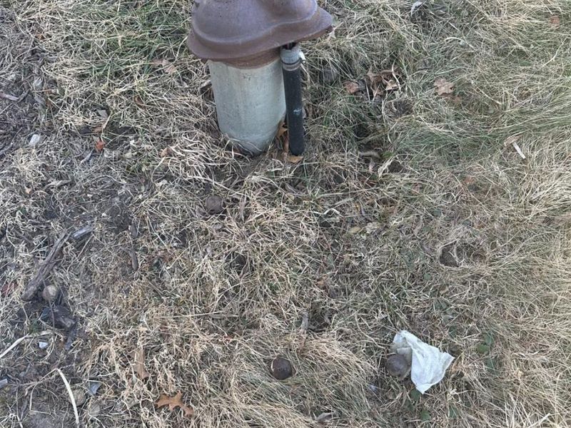 4103 N SR 53, Fremont, OH 43420 Photo 8