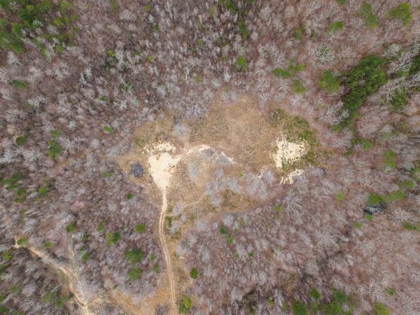 000 Reed Road , Alexander, AR 72002