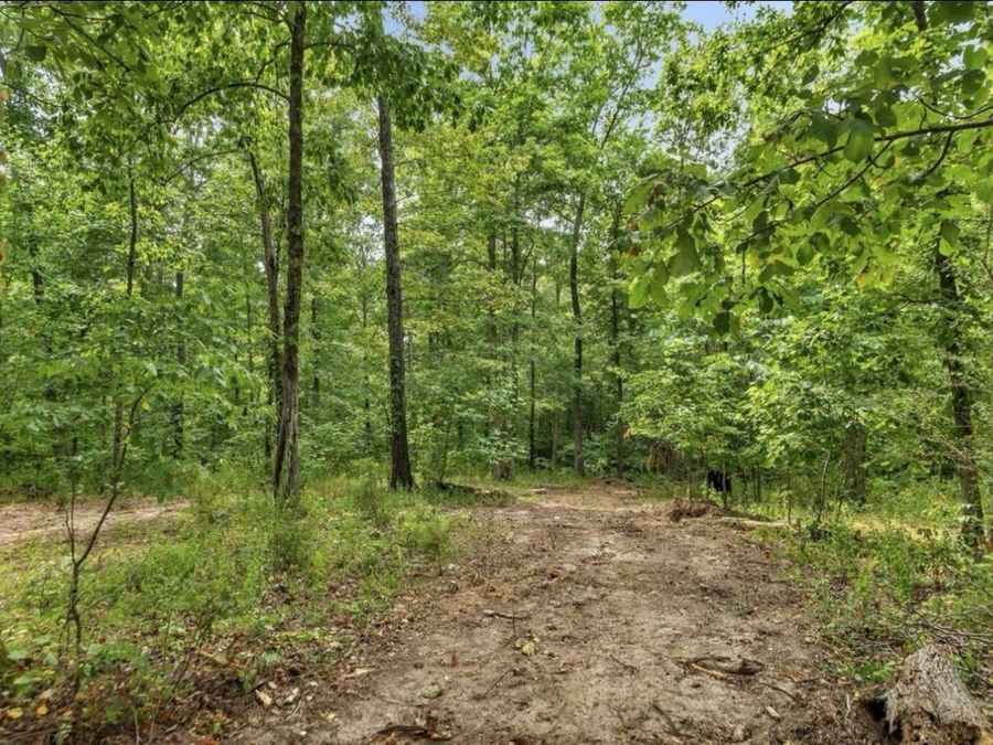 Property Image 35