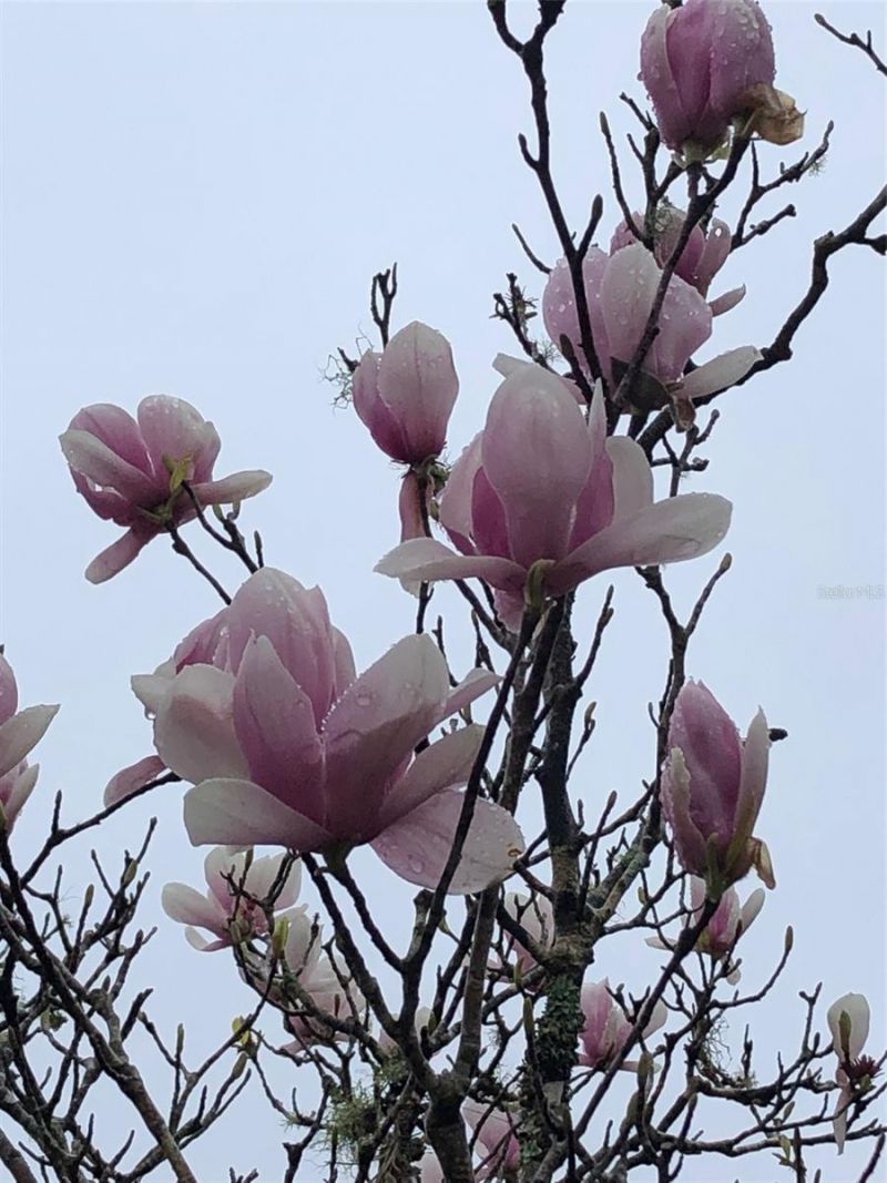 7011 SW 170 Street, Archer, FL 32618 Photo