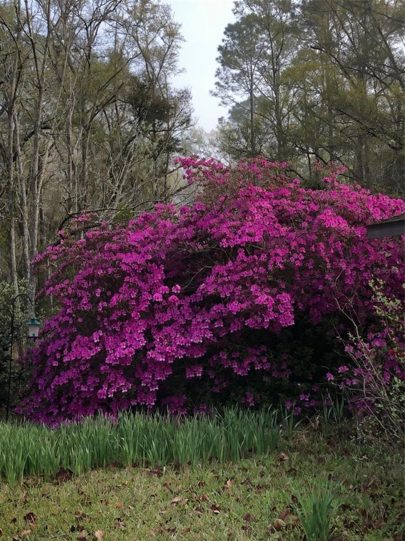 7011 SW 170 Street, Archer, FL 32618 Photo