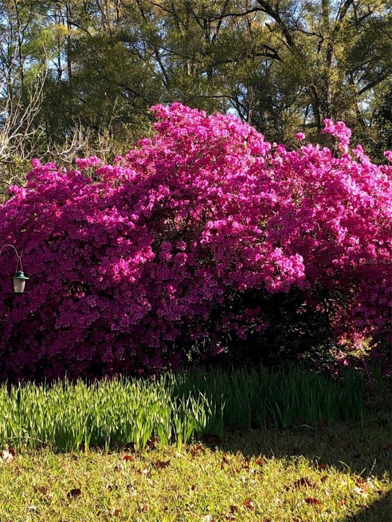 7011 SW 170 Street, Archer, FL 32618 Photo