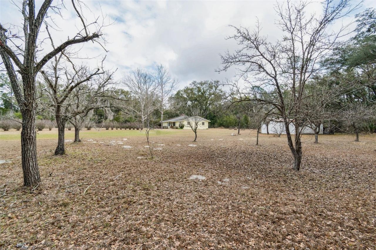 7011 SW 170 Street, Archer, FL 32618 Photo