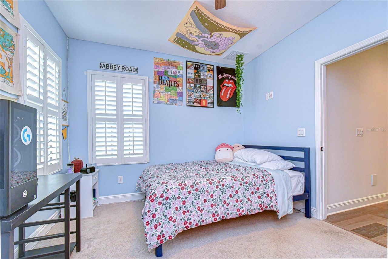 13706 Osprey Fern Lane , Riverview, FL 33569 Photo