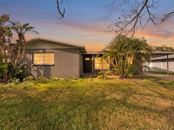 4519 S TRASK STREET , TAMPA, FL 33611