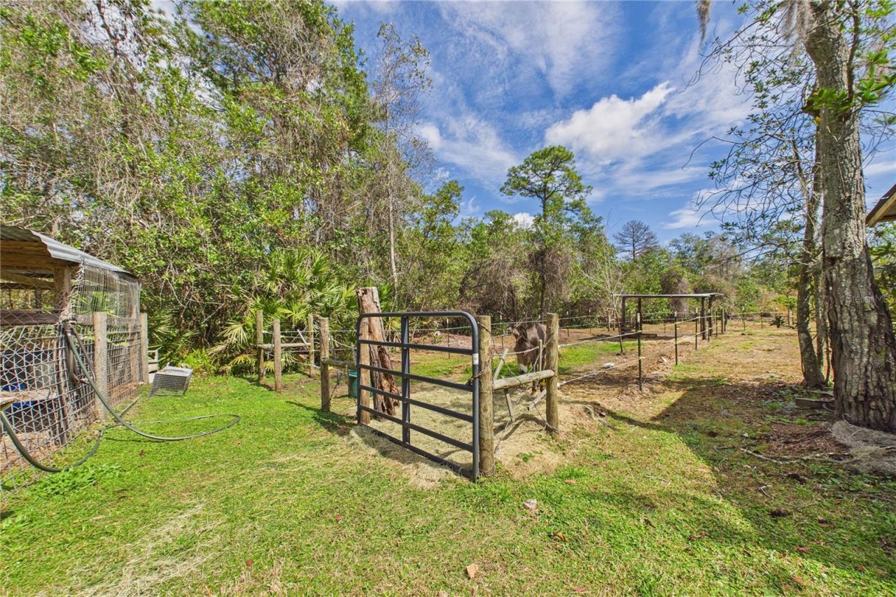 21038 Reindeer Road , Christmas, FL 32709 Photo