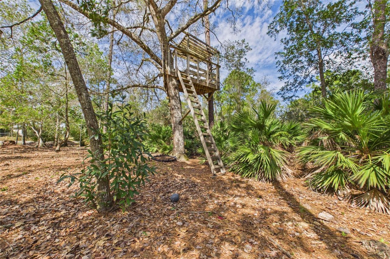 21038 Reindeer Road , Christmas, FL 32709 Photo