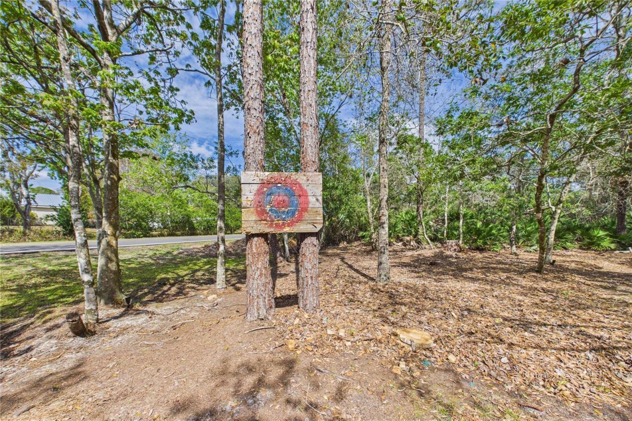 21038 Reindeer Road , Christmas, FL 32709 Photo