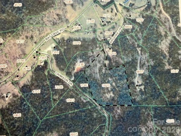 V/L Bat Cave Road , Old Fort, NC 28762