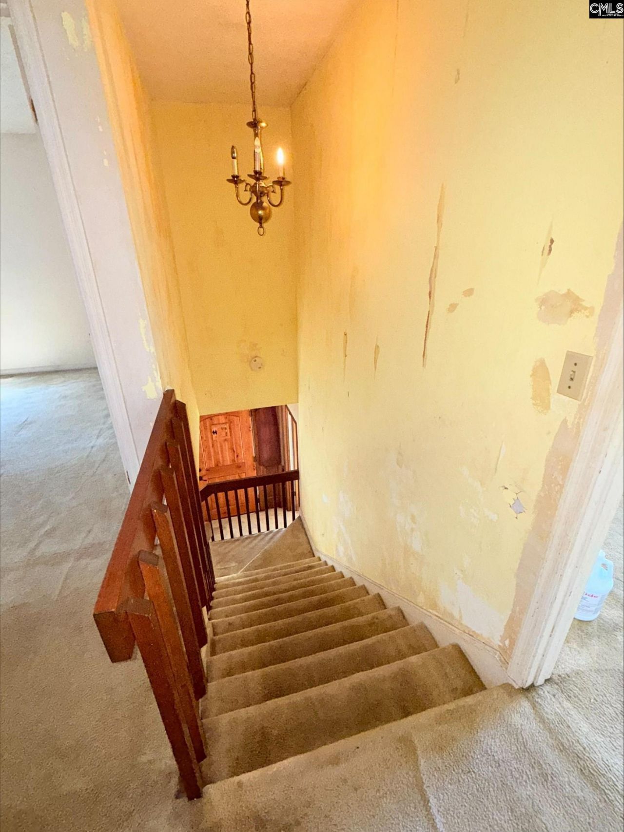 7901 Tradd Street Photo 10