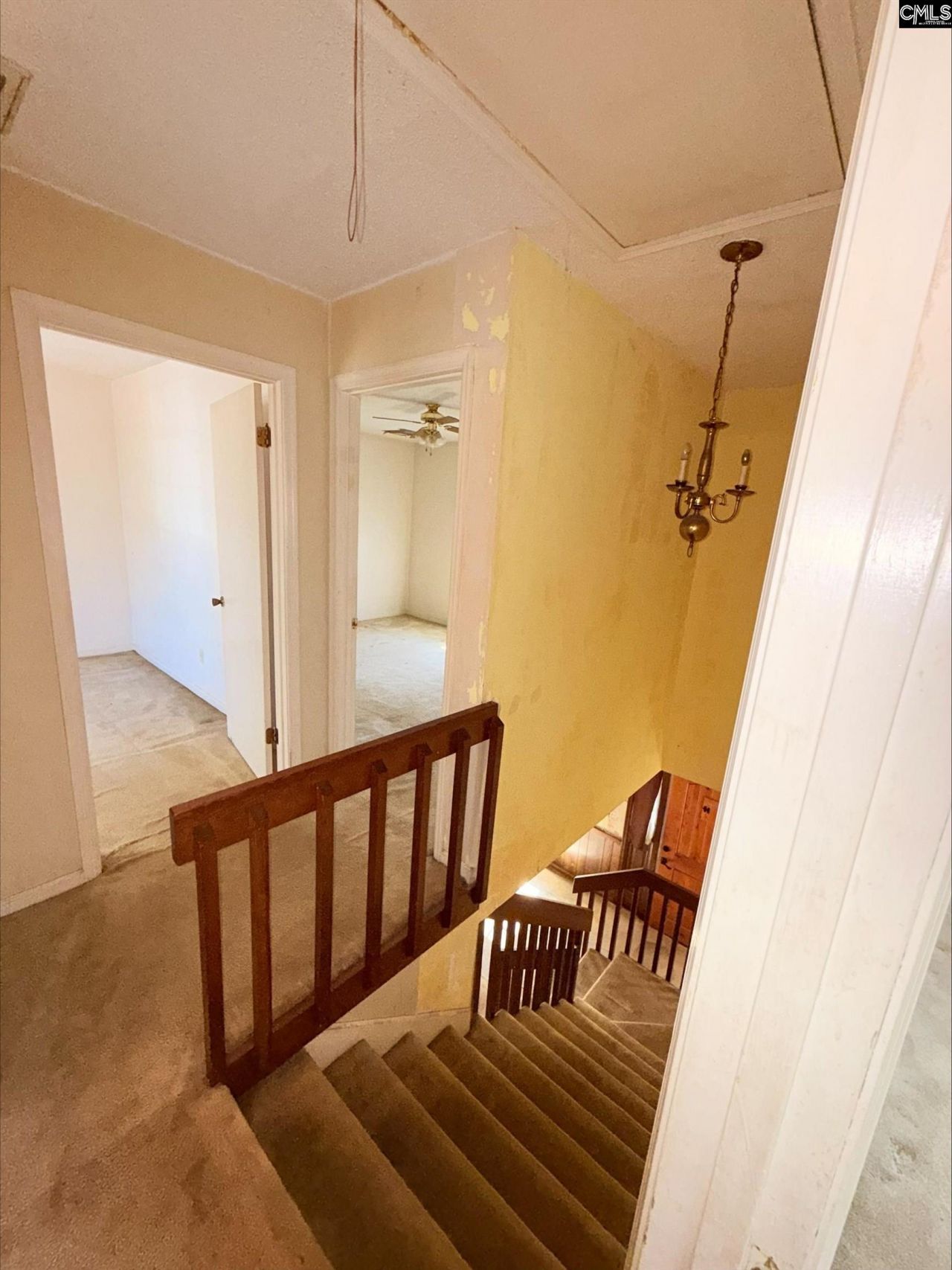 7901 Tradd Street Photo 23