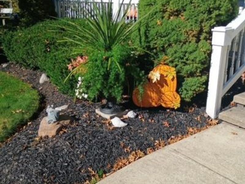 8330 Paddock Court, Mentor, OH 44060 Photo 43