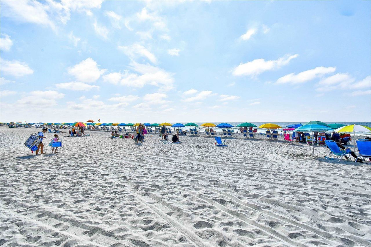 6813 Porcher Dr.  Photo 38