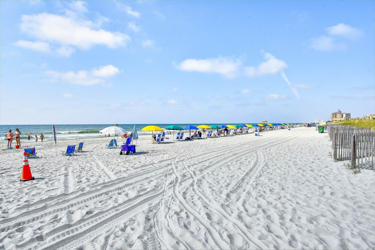 6813 Porcher Dr.  Photo 39