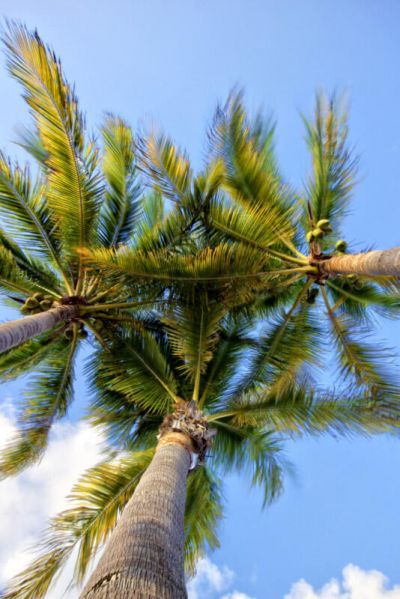 11295 6th Avenue Gulf, Marathon, FL 33050 Photo