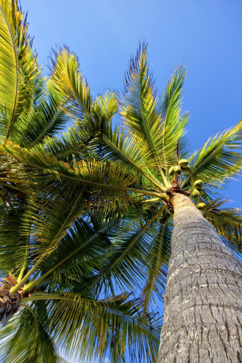 11295 6th Avenue Gulf, Marathon, FL 33050 Photo