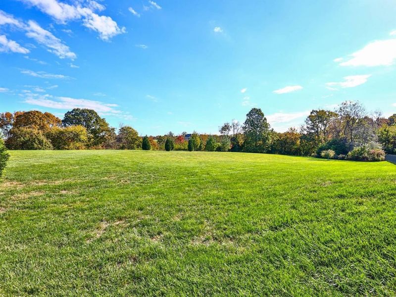 1525 Grapevine Ridge, Walton, KY 41094 Photo 44