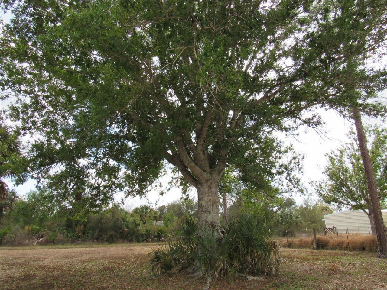 50544 Bermont Road, Punta Gorda, FL 33982 Photo