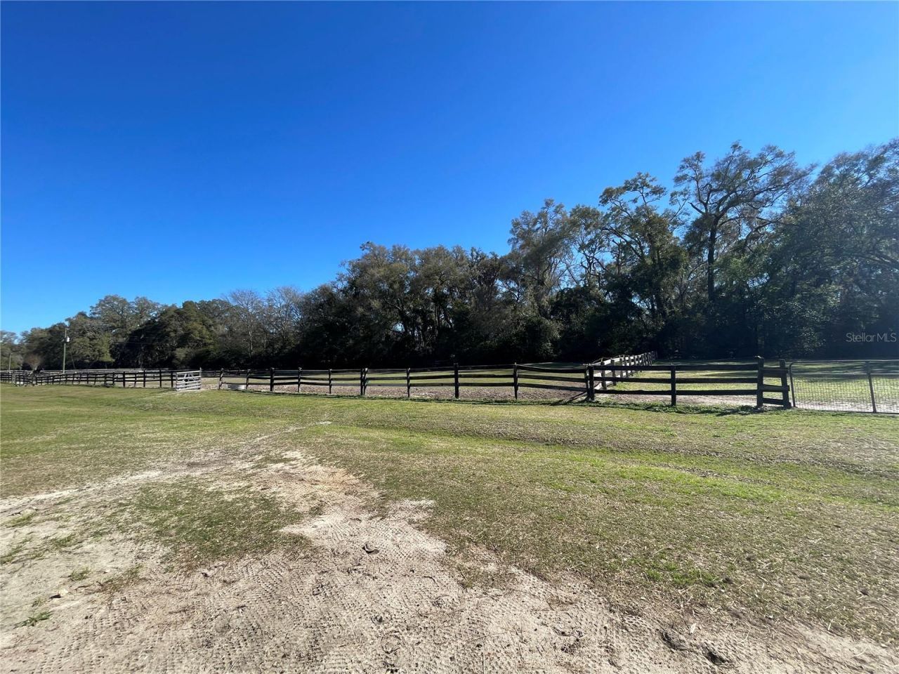 16525 SW 5th Place, Newberry, FL 32669 Photo