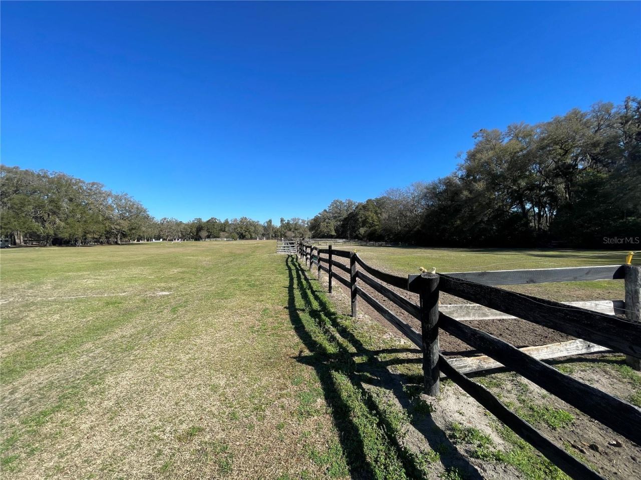 16525 SW 5th Place, Newberry, FL 32669 Photo