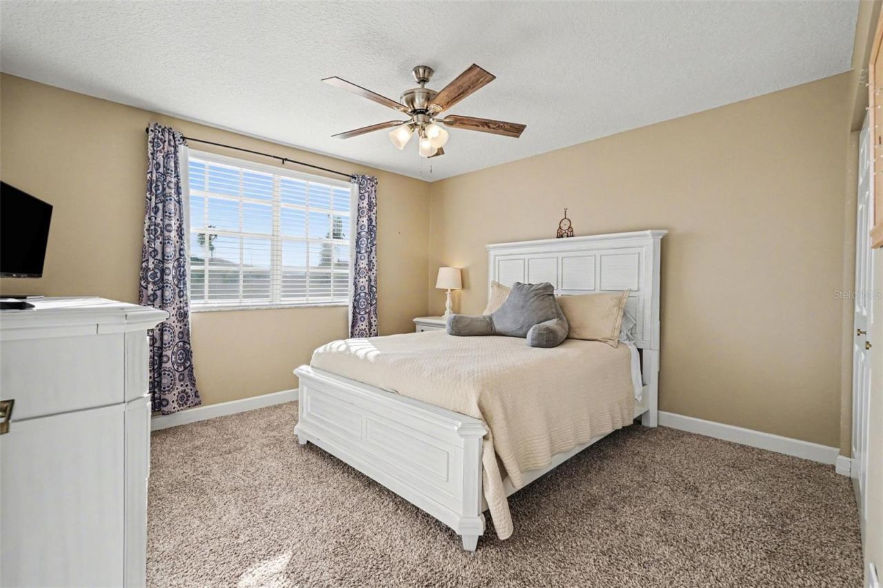 10618 Hatteras Drive , Tampa, FL 33615 Photo