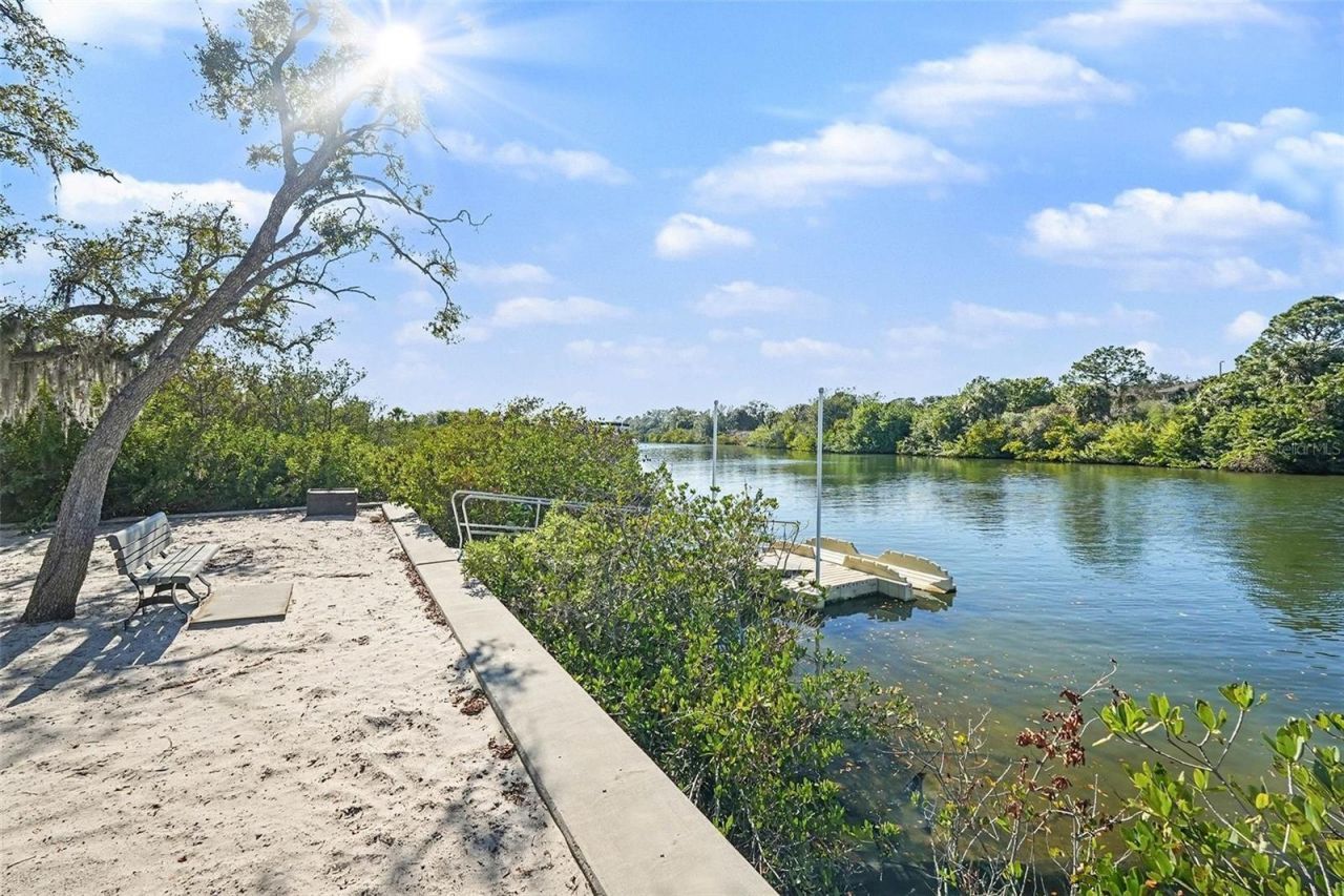 10618 Hatteras Drive , Tampa, FL 33615 Photo