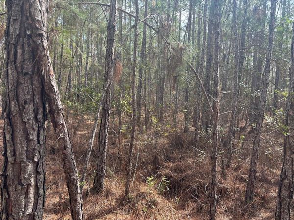 0 Old Grade Rd, Polk City, FL 33868