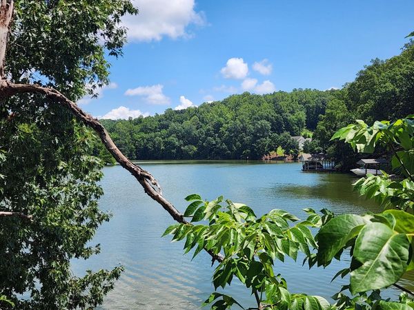 Lot 32 Lake View Point , Glade Hill, VA 24092