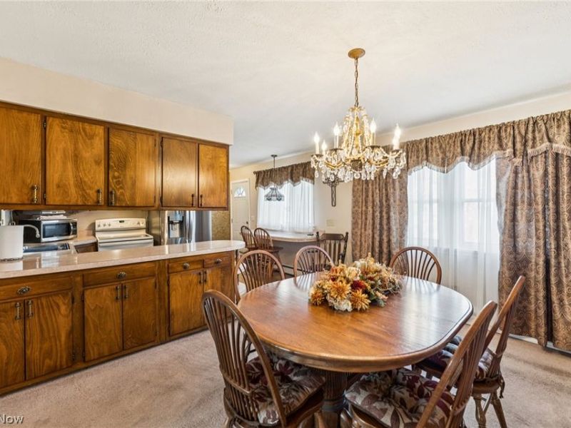 1215 Spruce Tree Lane , Amherst, OH 44001 Photo 11