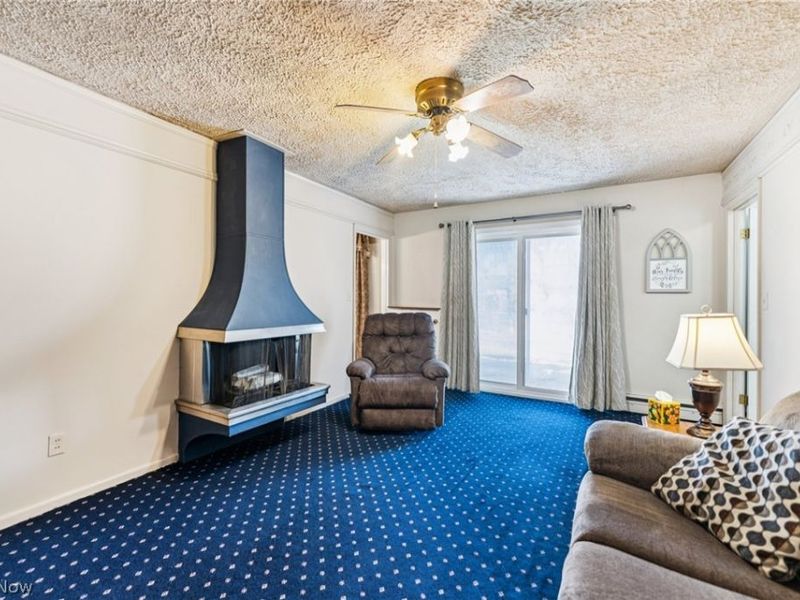 1215 Spruce Tree Lane , Amherst, OH 44001 Photo 3