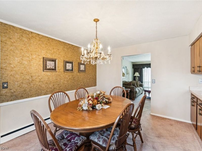 1215 Spruce Tree Lane , Amherst, OH 44001 Photo 9