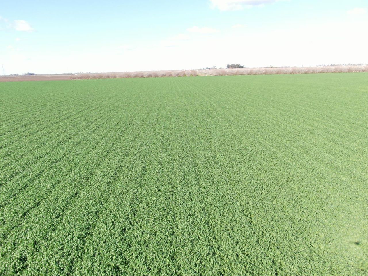 2334 S Inland Dr, Stockton, CA 95206 Photo