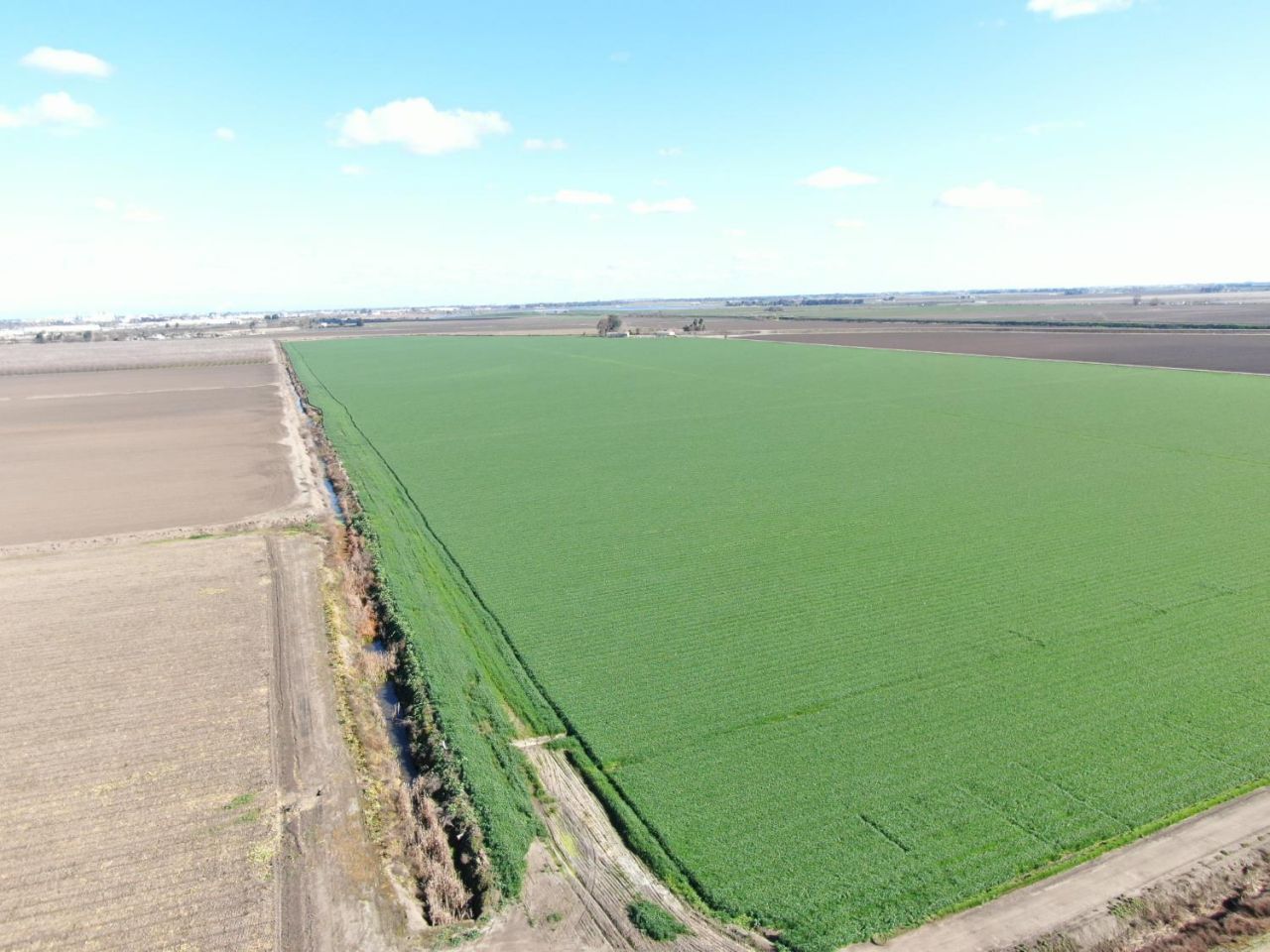 2334 S Inland Dr, Stockton, CA 95206 Photo