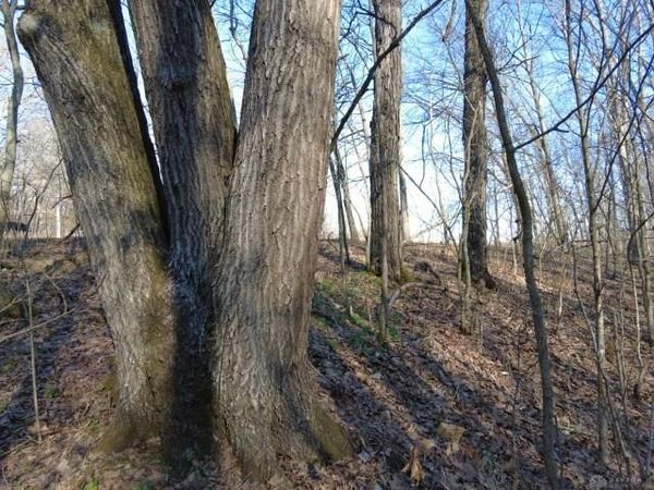 1459 State Route 73, Peebles, OH 45660