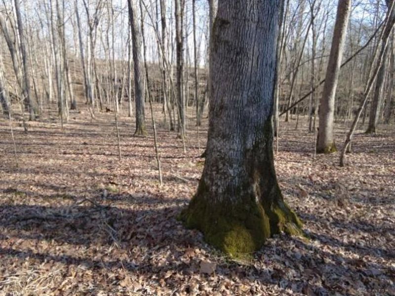 1459 State Route 73, Peebles, OH 45660 Photo 11