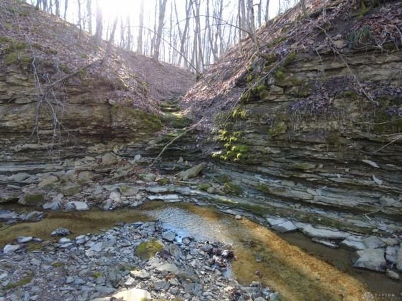 1459 State Route 73, Peebles, OH 45660 Photo 20