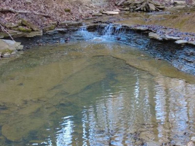 1459 State Route 73, Peebles, OH 45660 Photo 22