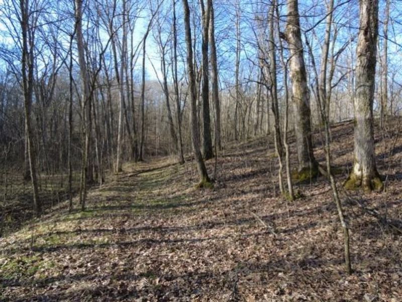 1459 State Route 73, Peebles, OH 45660 Photo 23