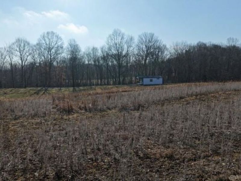 1459 State Route 73, Peebles, OH 45660 Photo 29