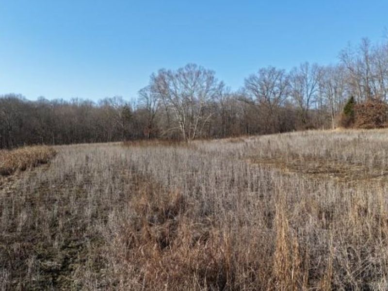 1459 State Route 73, Peebles, OH 45660 Photo 31