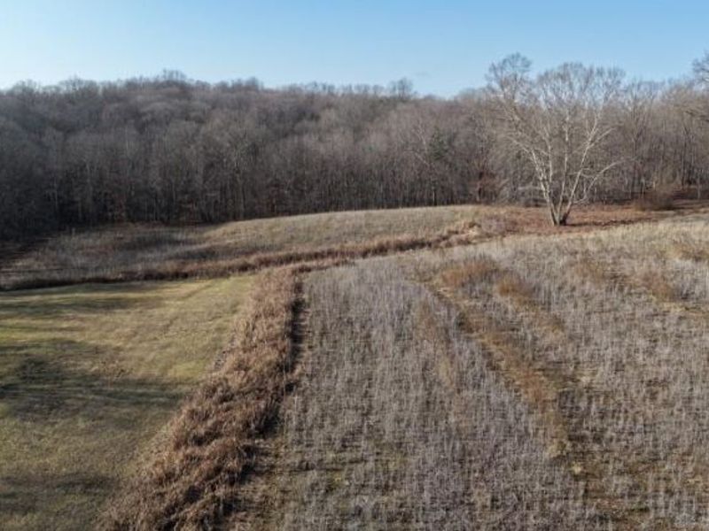 1459 State Route 73, Peebles, OH 45660 Photo 32