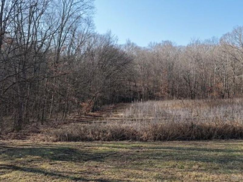 1459 State Route 73, Peebles, OH 45660 Photo 35