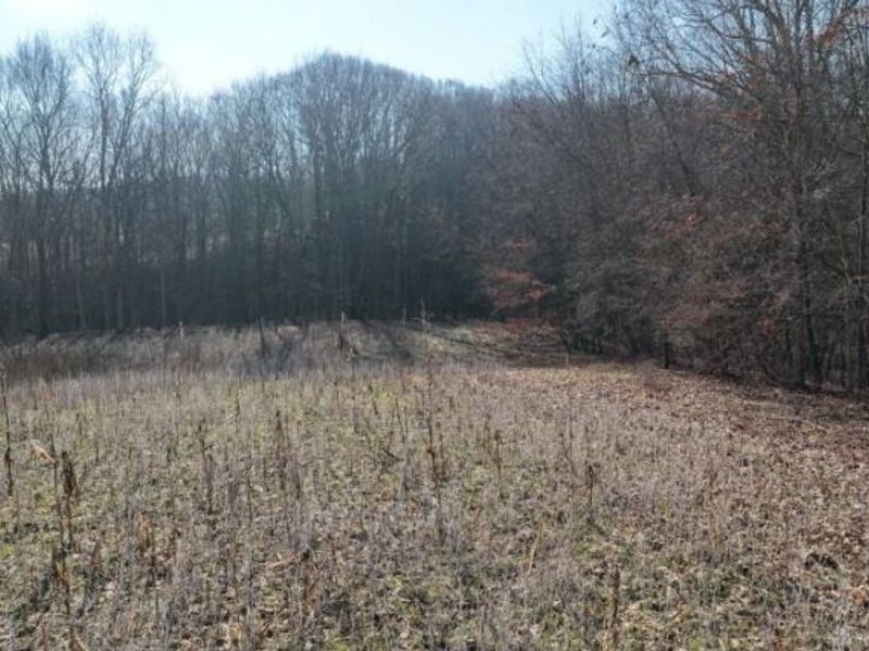 1459 State Route 73, Peebles, OH 45660 Photo 38